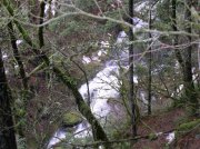 12.23.05 Elowah Falls 028 